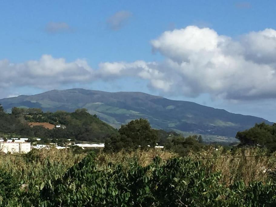 Villa Familia Ponta Delgada Kültér fotó
